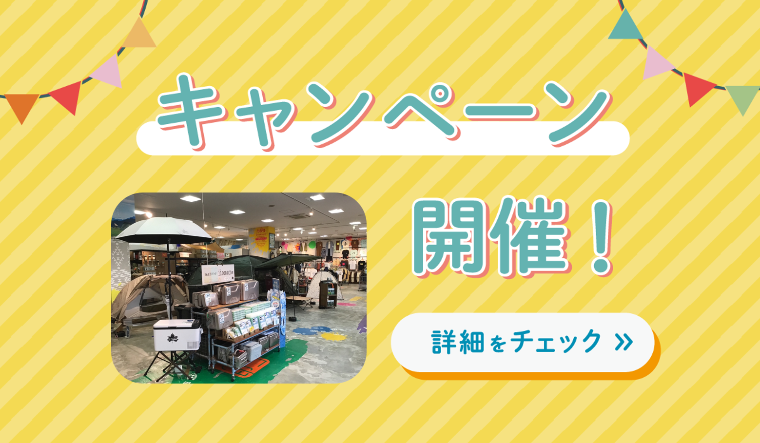 期間限定！お得な5選
