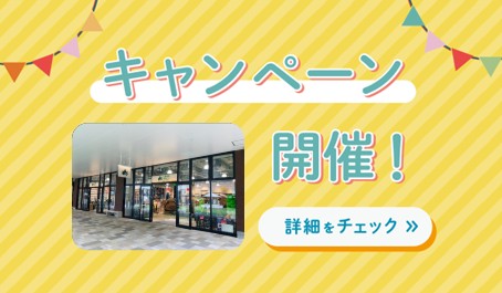 期間限定　ロゴスショップ&ヒロバ　ジアウトレット湘南平塚店5選SALE～夏～