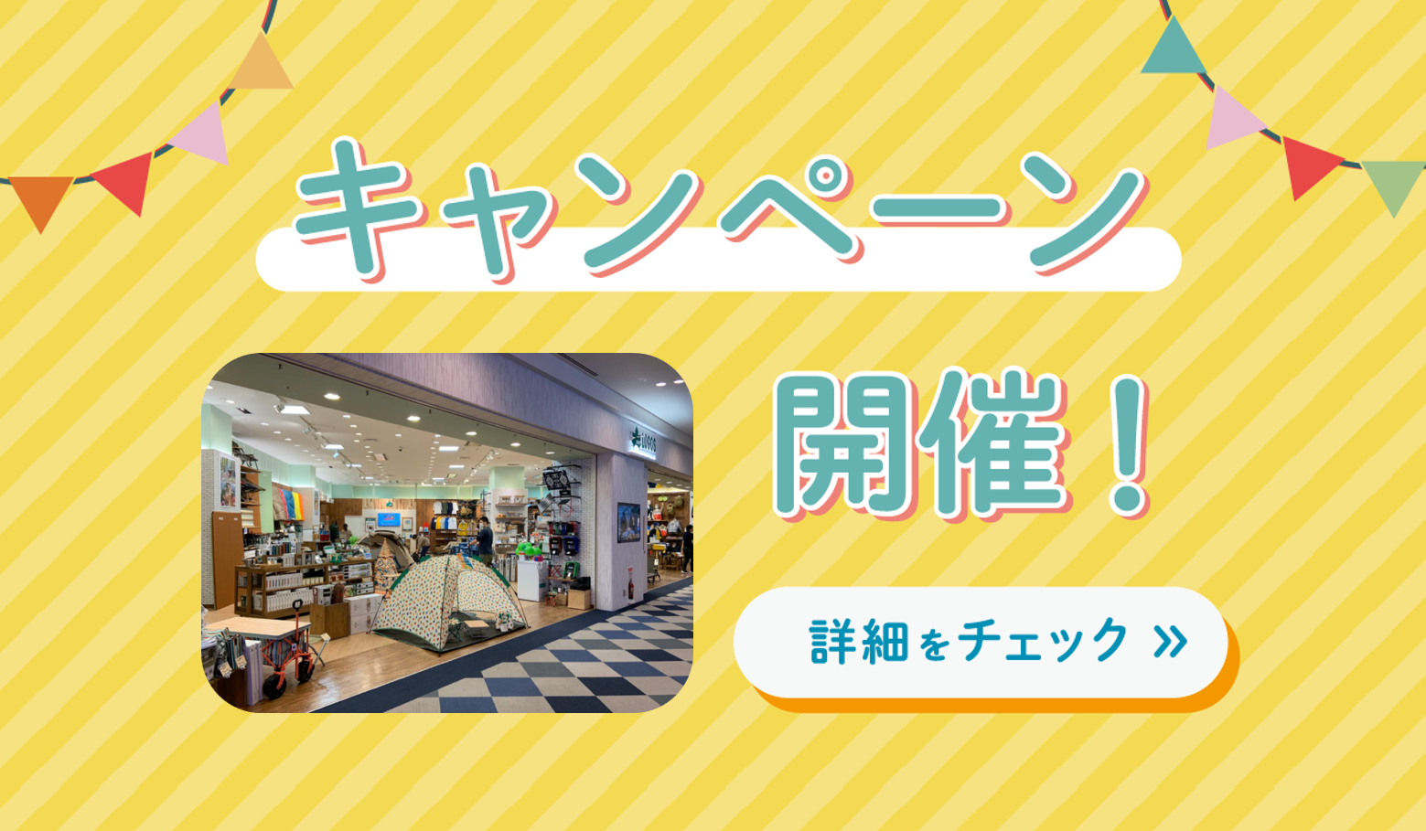 東京店限定サマーSALE🎐